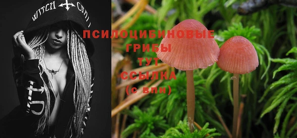 дживик Куйбышев